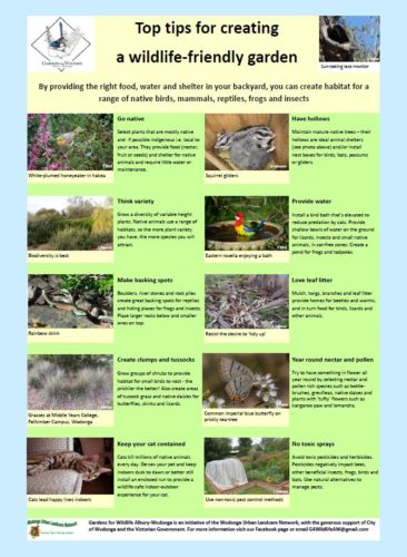 Tips poster for creating a wildlife-friendly garden, with photos of animals and plants.